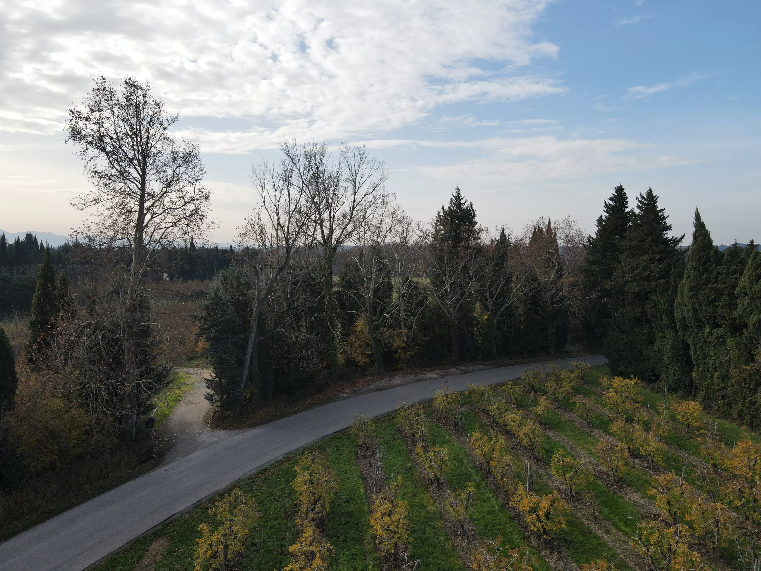 Route et vergers